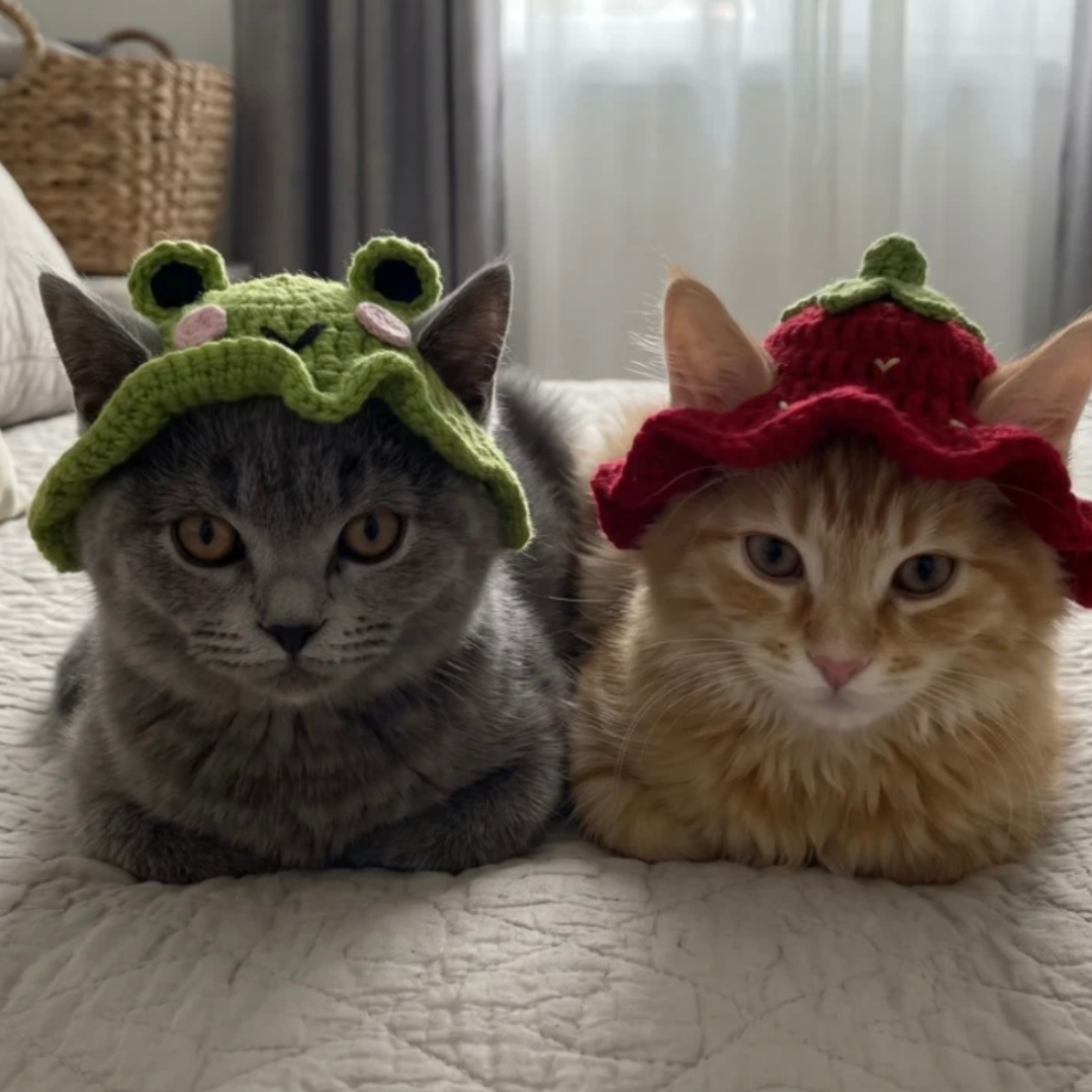Cat Crochet Hat