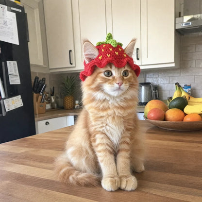 Cat Crochet Hat